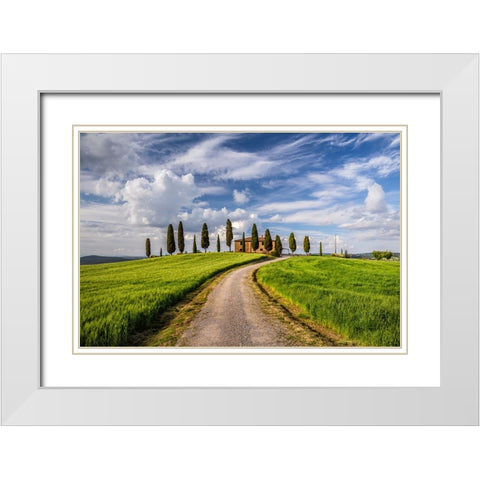 Europe-Italy-Tuscany-Val d Orcia-Road to Il Cipressini farmhouse White Modern Wood Framed Art Print with Double Matting by Jaynes Gallery