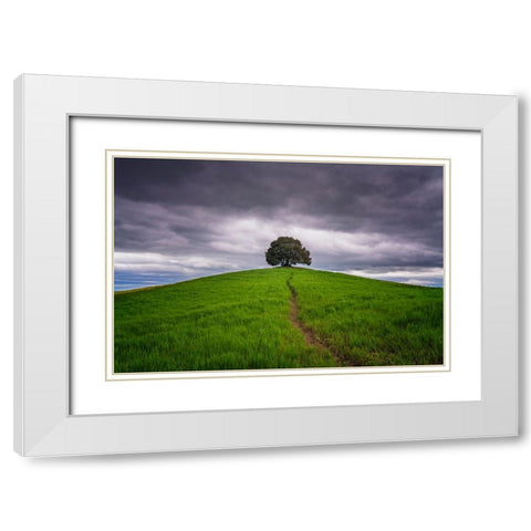 Europe-Italy-Tuscany-Val d Orcia-Trail to lone tree in farmland White Modern Wood Framed Art Print with Double Matting by Jaynes Gallery