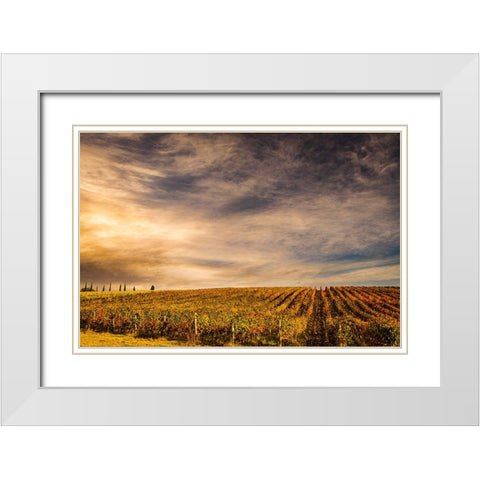Italy-vineyard White Modern Wood Framed Art Print with Double Matting by Theodore, George and Marilu