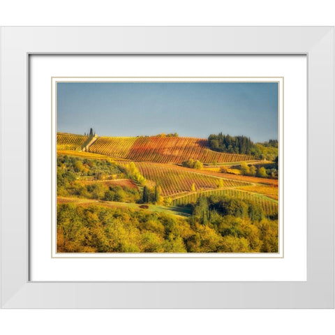 Italy-Chianti Vineyard in autumn in the Chianti region of Tuscany White Modern Wood Framed Art Print with Double Matting by Eggers, Julie