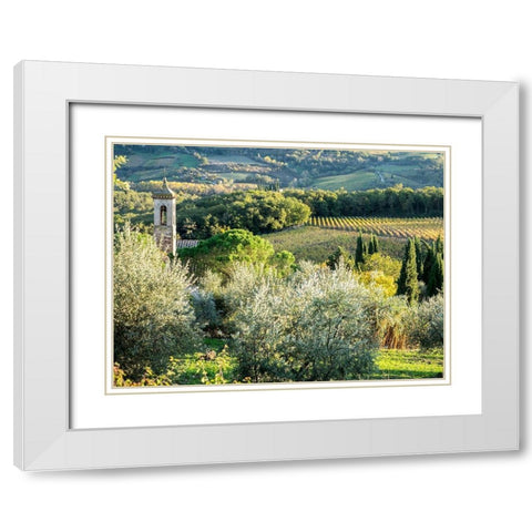 Italy-Chianti Pieve di Santa Maria Novella near Radda in Chianti White Modern Wood Framed Art Print with Double Matting by Eggers, Julie