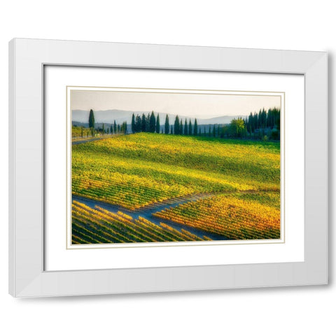 Italy-Chianti Vineyard in autumn in the Chianti region of Tuscany White Modern Wood Framed Art Print with Double Matting by Eggers, Julie