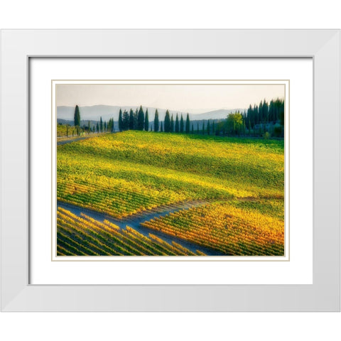 Italy-Chianti Vineyard in autumn in the Chianti region of Tuscany White Modern Wood Framed Art Print with Double Matting by Eggers, Julie