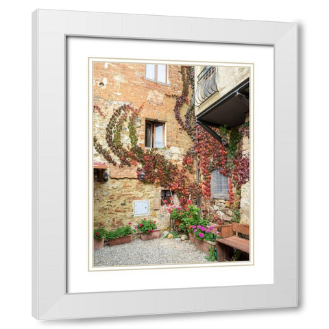Italy-Chianti Back street alleyway with fall colored climbing vine White Modern Wood Framed Art Print with Double Matting by Eggers, Julie