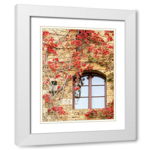 Italy-Chianti Red climbing ivy vine on a stone wall White Modern Wood Framed Art Print with Double Matting by Eggers, Julie