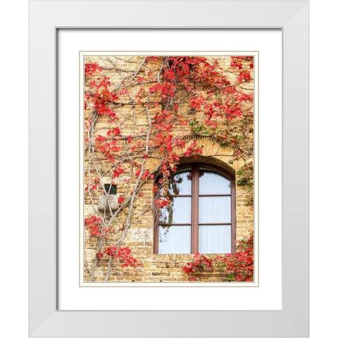 Italy-Chianti Red climbing ivy vine on a stone wall White Modern Wood Framed Art Print with Double Matting by Eggers, Julie