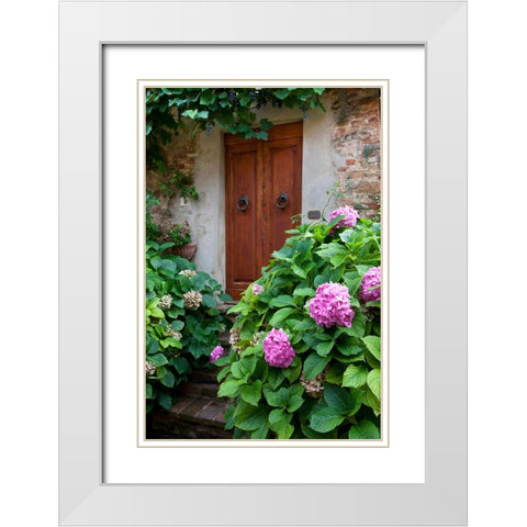 Italy-Tuscany-Pienza Hydrangeas at the entrance of a home in the streets of Pienza White Modern Wood Framed Art Print with Double Matting by Eggers, Julie
