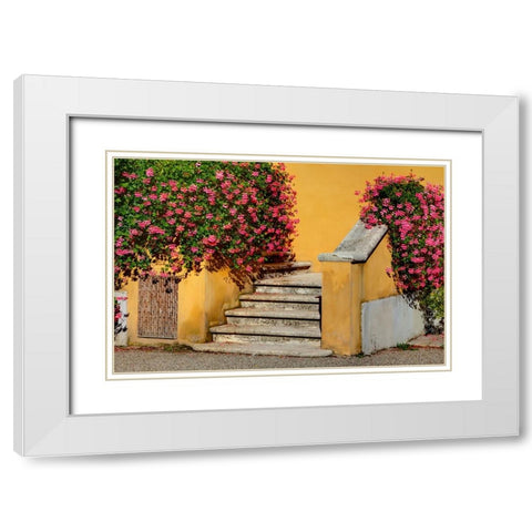 Italy-Tuscany Stairs covered in flowers White Modern Wood Framed Art Print with Double Matting by Eggers, Julie