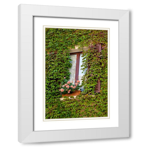 Italy-Tuscany-Montepulciano Window surrounded by ivy with pot of geraniums in hill town White Modern Wood Framed Art Print with Double Matting by Eggers, Julie