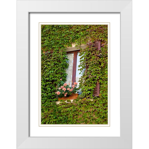 Italy-Tuscany-Montepulciano Window surrounded by ivy with pot of geraniums in hill town White Modern Wood Framed Art Print with Double Matting by Eggers, Julie