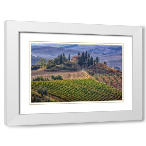 Italy-Tuscany Belvedere House-Olive trees-and vineyards near San Quirico dOrcia White Modern Wood Framed Art Print with Double Matting by Eggers, Julie
