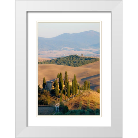 Italy-Tuscany Belvedere House-Olive trees-and vineyards near San Quirico dOrcia White Modern Wood Framed Art Print with Double Matting by Eggers, Julie