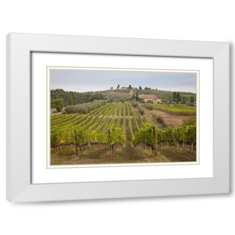 Italy-Tuscany Rows of grape vines in a vineyard in Tuscany White Modern Wood Framed Art Print with Double Matting by Eggers, Julie