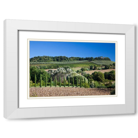 Italy-Tuscany Villa on hillside surrounded with olive trees and vineyard White Modern Wood Framed Art Print with Double Matting by Eggers, Julie