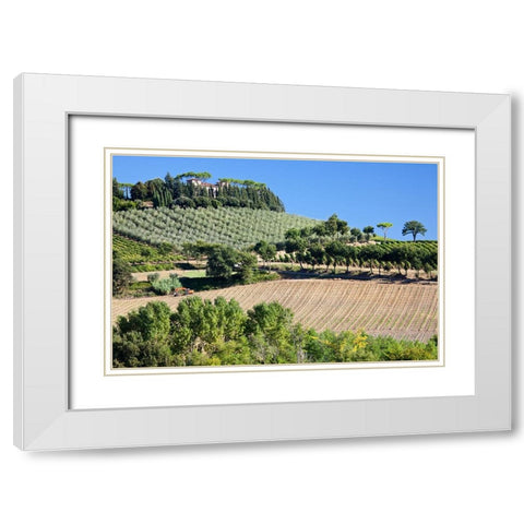 Italy-Tuscany Villa on hillside surrounded with olive trees and vineyard White Modern Wood Framed Art Print with Double Matting by Eggers, Julie
