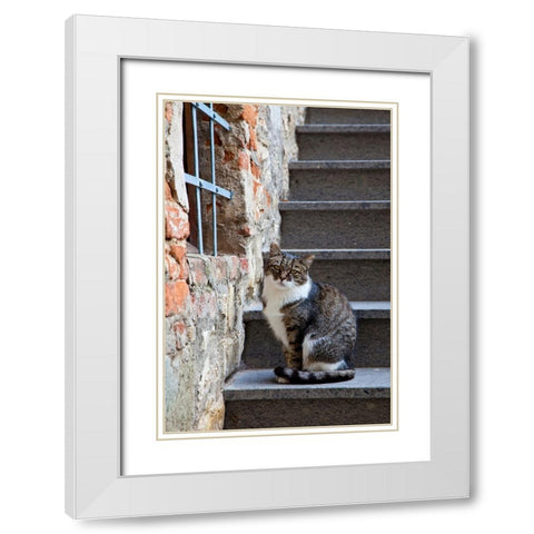 Italy-Tuscany-Vertine Exploring the small hillside town of Vertine in the Chianti region of Tuscany White Modern Wood Framed Art Print with Double Matting by Eggers, Julie