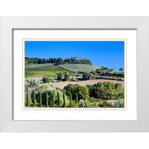 Italy-Tuscany Villa on hillside surrounded with olive trees and vineyard White Modern Wood Framed Art Print with Double Matting by Eggers, Julie