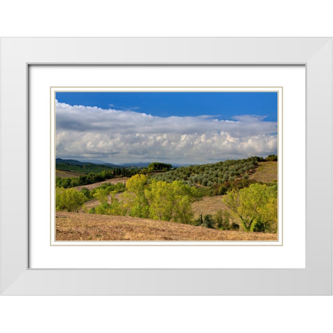 Italy-Tuscany Tuscan landscape White Modern Wood Framed Art Print with Double Matting by Eggers, Julie