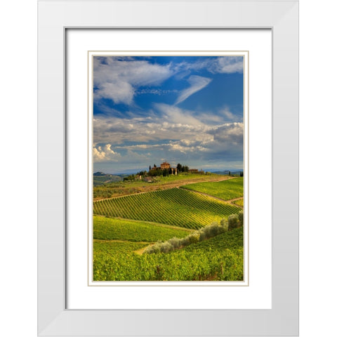 Italy-Tuscany A view of the vineyards and villa in Chianti region of Tuscany-Italy White Modern Wood Framed Art Print with Double Matting by Eggers, Julie