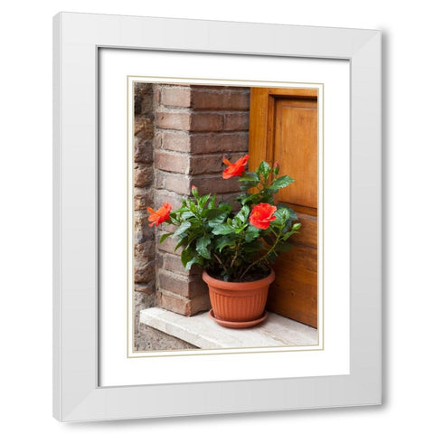 Italy-Tuscany-San Gimignano Red hibiscus flower in a pot on the doorstep of a home in San Gimignano White Modern Wood Framed Art Print with Double Matting by Eggers, Julie
