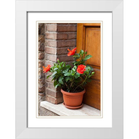 Italy-Tuscany-San Gimignano Red hibiscus flower in a pot on the doorstep of a home in San Gimignano White Modern Wood Framed Art Print with Double Matting by Eggers, Julie