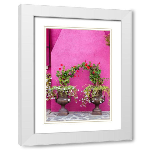 Italy-Venice-Burano Island Urns planted with flowers against a bright pink wall on Burano Island White Modern Wood Framed Art Print with Double Matting by Eggers, Julie