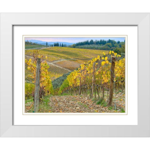 Italy-Tuscany Vineyard near Radda in Chianti in the fall White Modern Wood Framed Art Print with Double Matting by Eggers, Julie