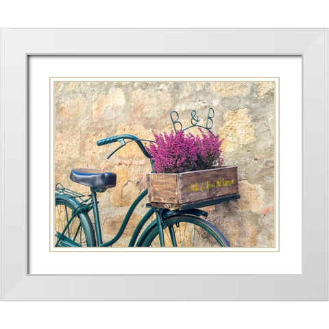 Italy-Tuscany-Monticchiello Bicycle with bright pink heather in the basket White Modern Wood Framed Art Print with Double Matting by Eggers, Julie
