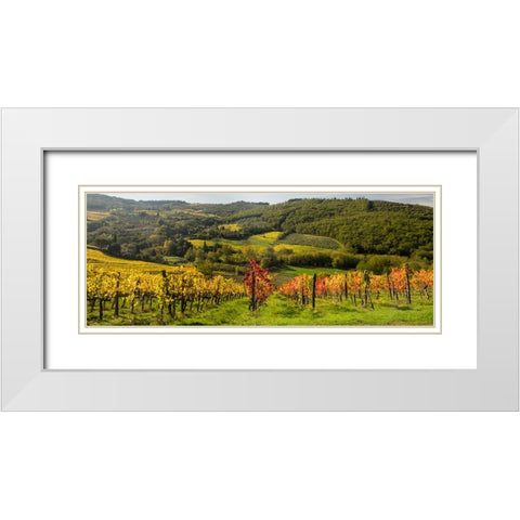 Italy-Tuscany Panoramic view of a colorful vineyard in the Tuscan landscape White Modern Wood Framed Art Print with Double Matting by Eggers, Julie