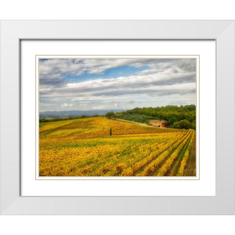 Italy-Tuscany Colorful vineyard in autumn White Modern Wood Framed Art Print with Double Matting by Eggers, Julie