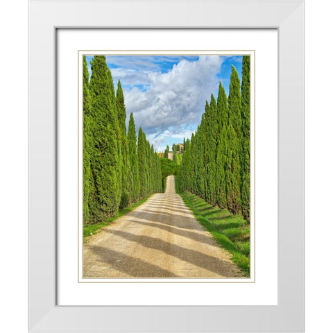 Italy-Tuscany Road lined with Italian cypress leading to a villa White Modern Wood Framed Art Print with Double Matting by Eggers, Julie