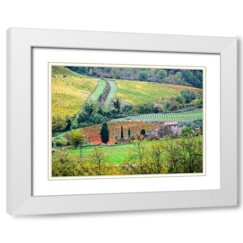 Italy-Tuscany View of the Tuscan countryside White Modern Wood Framed Art Print with Double Matting by Eggers, Julie