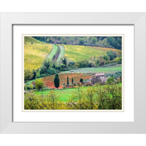 Italy-Tuscany View of the Tuscan countryside White Modern Wood Framed Art Print with Double Matting by Eggers, Julie