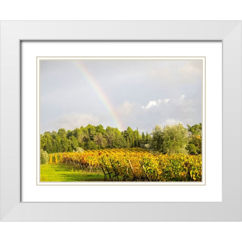 Italy-Tuscany Colorful vineyard and rainbow in autumn White Modern Wood Framed Art Print with Double Matting by Eggers, Julie
