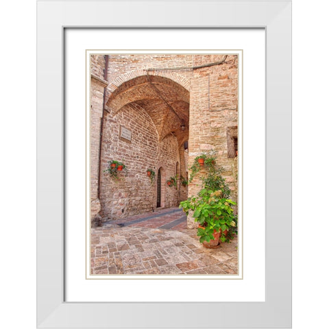 Italy- Umbria. Archway with potted flowers in the streets of Assisi. White Modern Wood Framed Art Print with Double Matting by Eggers, Julie