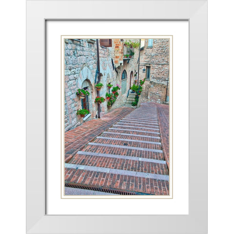 Italy- Umbria- Assisi. Walkway along the streets of Assisi lined with flowering pots. White Modern Wood Framed Art Print with Double Matting by Eggers, Julie