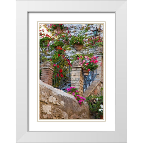 Italy- Umbria- Assisi. Entrance to a home with flowering pots on stone wall. White Modern Wood Framed Art Print with Double Matting by Eggers, Julie