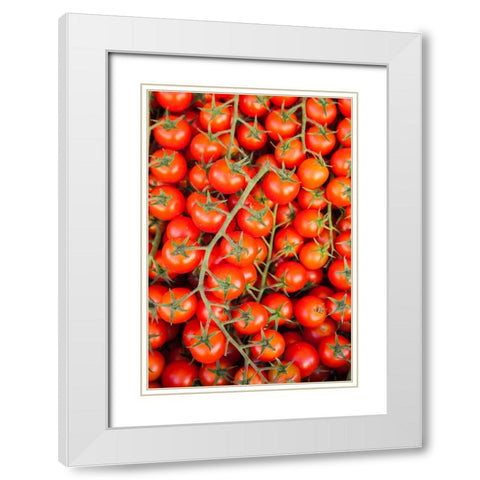Italy- Umbria- Montefalco. Closeup of tomatoes on the vine. White Modern Wood Framed Art Print with Double Matting by Eggers, Julie