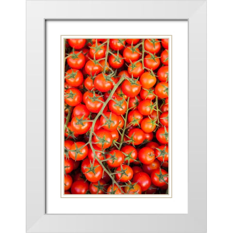 Italy- Umbria- Montefalco. Closeup of tomatoes on the vine. White Modern Wood Framed Art Print with Double Matting by Eggers, Julie