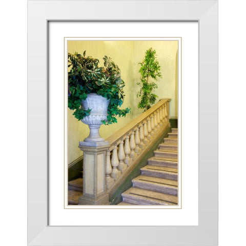 Italy- Umbria- Spoleto. Concrete urn filled with greenery on the end of a banister of a staircase. White Modern Wood Framed Art Print with Double Matting by Eggers, Julie
