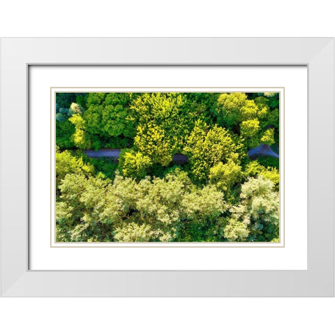 Italy-Mantua-forest treetops White Modern Wood Framed Art Print with Double Matting by Molinari, Michele
