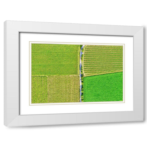 Italy-Valpolicella vineyards White Modern Wood Framed Art Print with Double Matting by Molinari, Michele