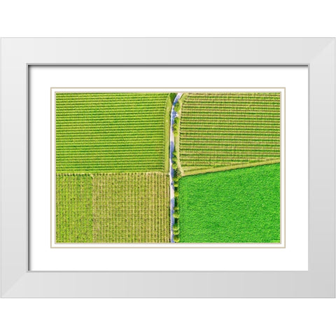 Italy-Valpolicella vineyards White Modern Wood Framed Art Print with Double Matting by Molinari, Michele