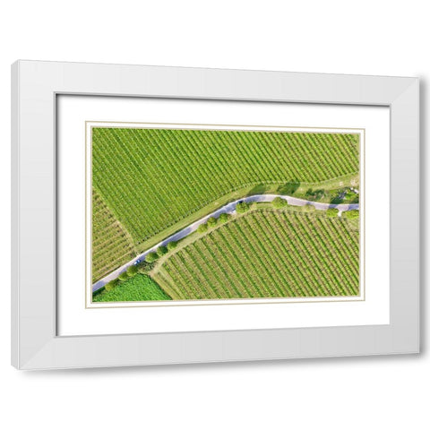 Italy-Valpolicella vineyards White Modern Wood Framed Art Print with Double Matting by Molinari, Michele