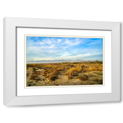 Italy-Riserva Naturale di Massaciuccoli San Rossore-protected coastal forest in Tuscany White Modern Wood Framed Art Print with Double Matting by Molinari, Michele