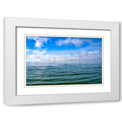 Italy-Riserva Naturale di Massaciuccoli San Rossore-protected coastal forest in Tuscany White Modern Wood Framed Art Print with Double Matting by Molinari, Michele