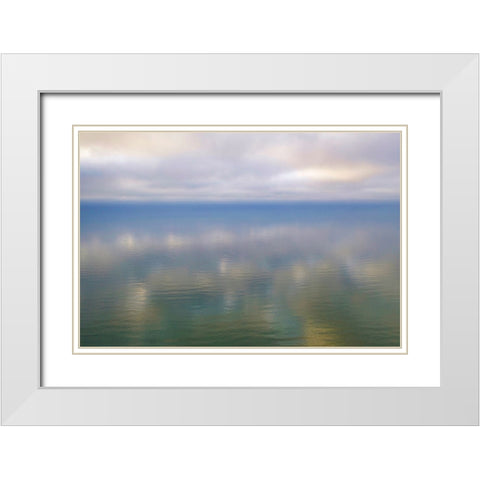 Italy-Riserva Naturale di Massaciuccoli San Rossore-protected coastal forest in Tuscany White Modern Wood Framed Art Print with Double Matting by Molinari, Michele