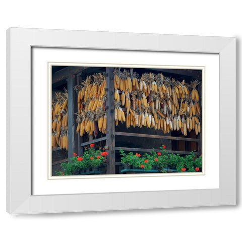 Molveno at lake Lago di Molveno in the Dolomiti di Brenta Dolomites White Modern Wood Framed Art Print with Double Matting by Zwick, Martin