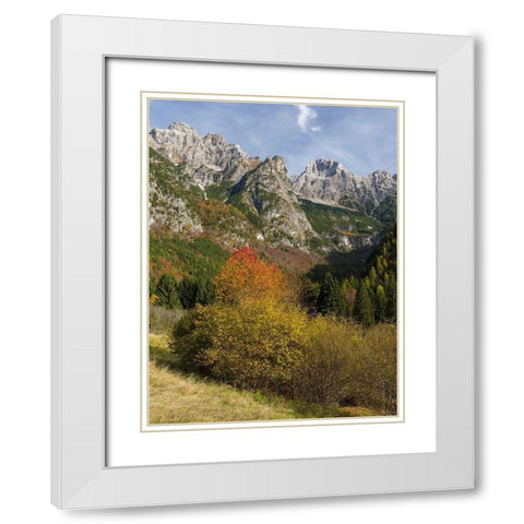 Peaks of Dolomiti di Brenta high above Val dAlgone Dolomiti di Brenta  Italy-Trentino White Modern Wood Framed Art Print with Double Matting by Zwick, Martin