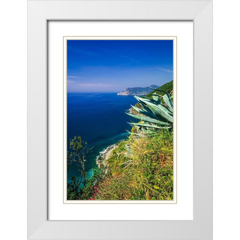 The Ligurian Sea from the Sentiero Azzurro (Blue Trail) near Vernazza-Cinque Terre-Liguria-Italy White Modern Wood Framed Art Print with Double Matting by Bishop, Russ